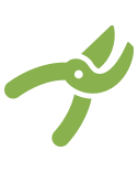 Plant Care