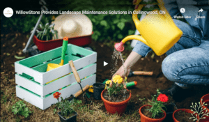 WillowStone: Reputable Landscape Maintenance Company in Collingwood, ON