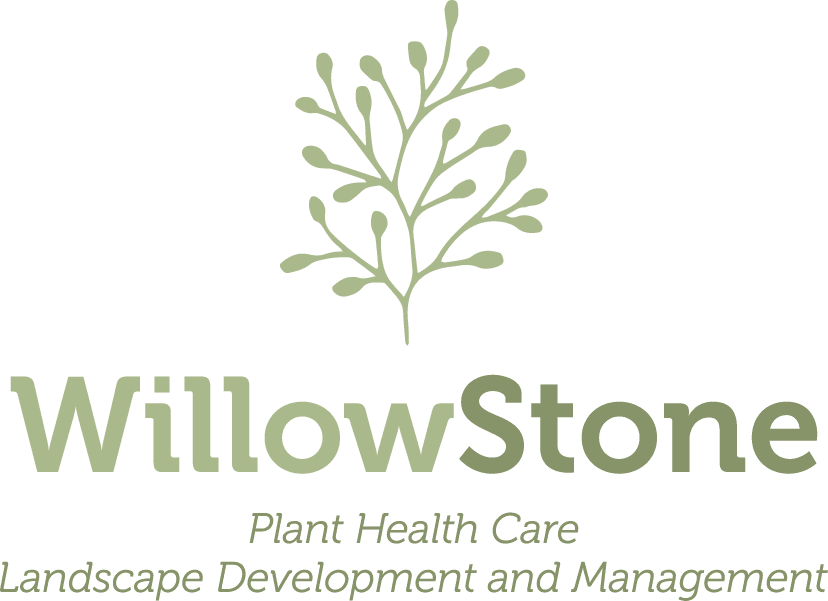 WillowStone