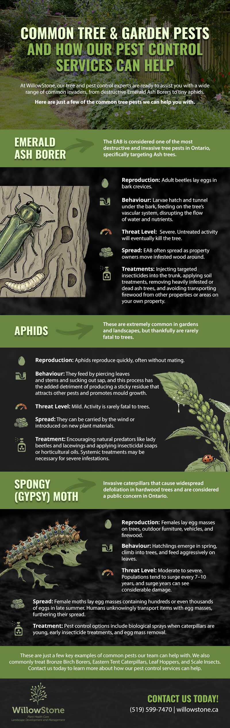 Common Tree & Garden Pests in Collingwood – And How Our Pest Control Services Can Help